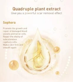 LANBENA Littekencrème - Vermindert Zichtbaarheid Van Littekens – Acné En Striae Littekens - Herstelt De Huid - Litteken Crème Tube 30ml -Zelfzorg Winkel 1078x1200 2