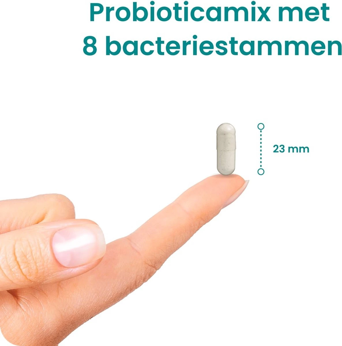 Flinndal Probiotica Capsules - Probioticamix Met 8 Bacteriestammen - 30 Capsules 5 Flinndal Probiotica Capsules - Probioticamix Met 8 Bacteriestammen - 30 Capsules - Afbeelding 3