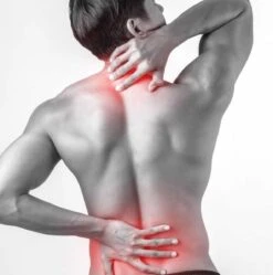 Tijgerbalsem - (ROOD + WIT) 19 Gram - Spierbalsem - Tijgerbalm - Spierpijn - Migraine - Pijnverlichting - Warmtepleister - Hoofdpijn - Warmte - Pain Relief Patch - Warmte Pleisters - Paardenbalsem - Voltaren - Detox Voepleister - Heat Pad 12 Tijgerbalsem - (ROOD + WIT) 19 Gram - Spierbalsem - Tijgerbalm - Spierpijn - Migraine - Pijnverlichting - Warmtepleister - Hoofdpijn - Warmte - Pain Relief Patch - Warmte Pleisters - Paardenbalsem - Voltaren - Detox Voepleister - Heat Pad -Zelfzorg Winkel 1188x1200 4