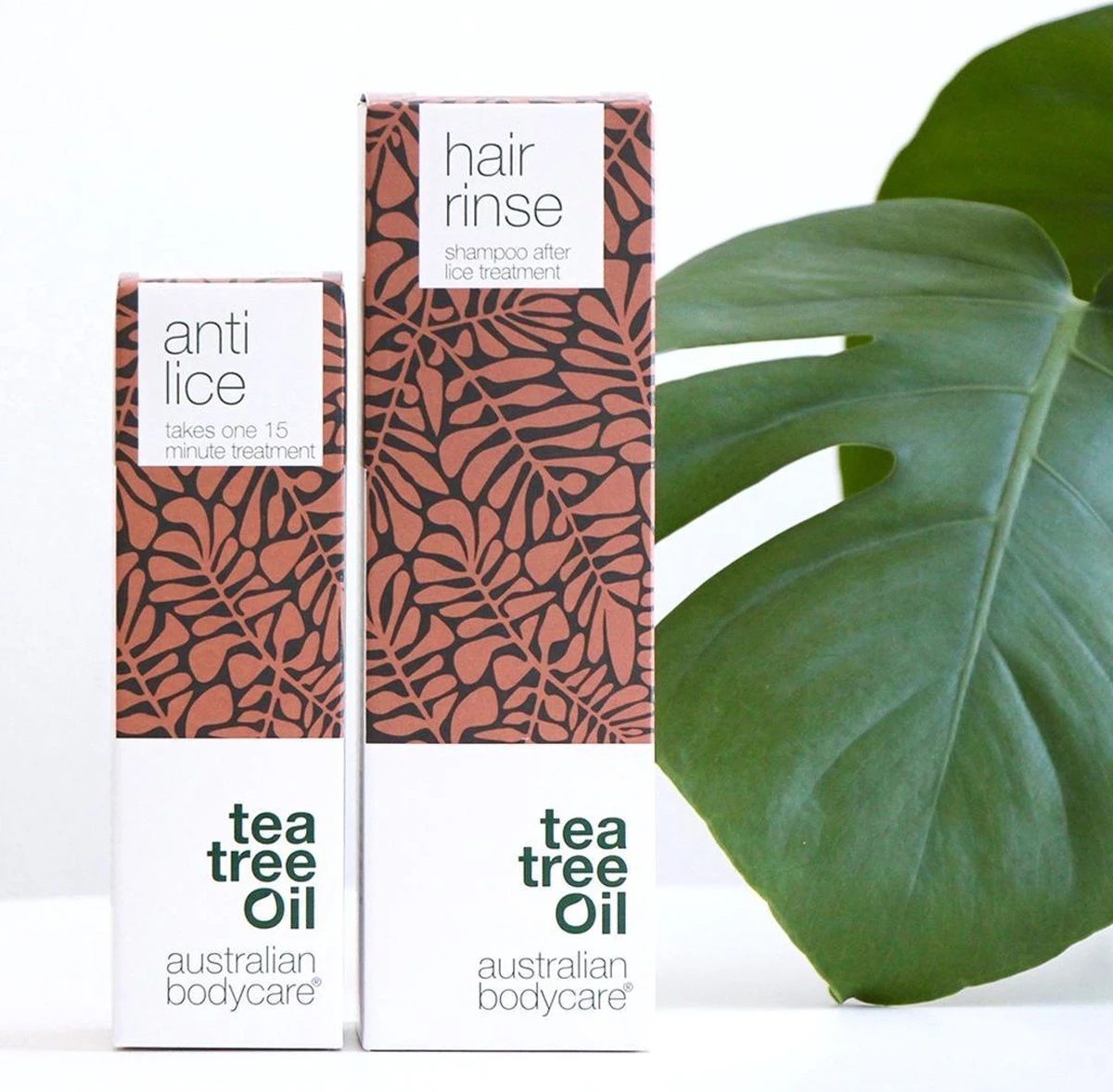 Australian Bodycare Hair Rinse 250ml - Nabehandelingshampoo Tegen Hoofdluis | Tea Tree Olie Behandelingsshampoo Met 100% Pure Tea Tree Olie 10 Australian Bodycare Hair Rinse 250ml - Nabehandelingshampoo Tegen Hoofdluis | Tea Tree Olie Behandelingsshampoo Met 100% Pure Tea Tree Olie - Afbeelding 8