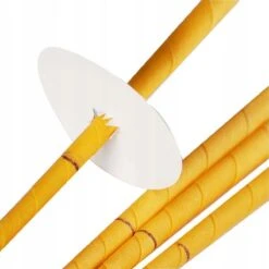 Oorkaarsen - 20 Stuks - Natuurlijke Oorkaars - Oor Reiniger - Oorsmeer Verwijderaar - Pijnloos Behandeling - Rheme 11 Oorkaarsen - 20 Stuks - Natuurlijke Oorkaars - Oor Reiniger - Oorsmeer Verwijderaar - Pijnloos Behandeling - Rheme -Zelfzorg Winkel 1200x1199