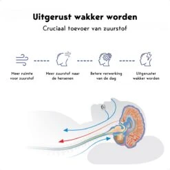 Breathec Anti Snurkbeugel Advanced - Verstelbaar 0-10MM - Verstelbare Anti Snurk Beugel - Bitje Tegen Zwaar Snurken - Knarsbitje & Gebitsberscherming -Zelfzorg Winkel 1200x1200 362