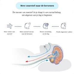 Anti Snurk Beugel - Anti Snurk Bitje - Speciaal Voor Zware Snurkers - Anti Knarsen - Knarsbitje - Gebitsbeschermer - Anti Snurk Producten - Anti Snurk Middel - Anti Snurkbeugel - Snore - Snoring 14 Anti Snurk Beugel - Anti Snurk Bitje - Speciaal Voor Zware Snurkers - Anti Knarsen - Knarsbitje - Gebitsbeschermer - Anti Snurk Producten - Anti Snurk Middel - Anti Snurkbeugel - Snore - Snoring -Zelfzorg Winkel 1200x1200 400