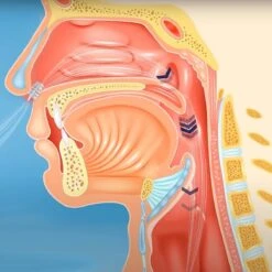 Breatr® X2 | Neusspreider | Meer Zuurstof Tijdens Sporten | Anti-snurk | Tegen Benauwdheid Bij Het Dragen Van Een Mondkapje Of Mondmasker | Meer Lucht Bij Verkoudheid | Tegen Droge Mond Na Het Slapen -Zelfzorg Winkel 1200x1200 404