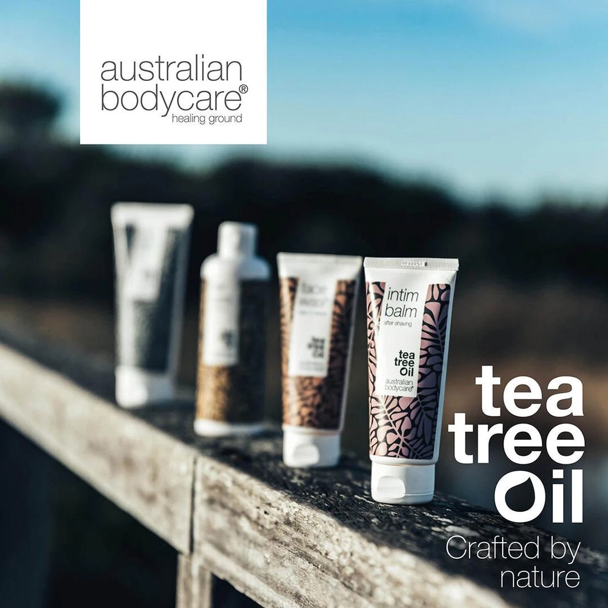 Australian Bodycare Hair Rinse 250ml - Nabehandelingshampoo Tegen Hoofdluis | Tea Tree Olie Behandelingsshampoo Met 100% Pure Tea Tree Olie 5 Australian Bodycare Hair Rinse 250ml - Nabehandelingshampoo Tegen Hoofdluis | Tea Tree Olie Behandelingsshampoo Met 100% Pure Tea Tree Olie - Afbeelding 3