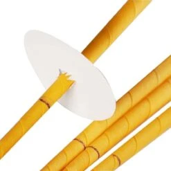 20 Stuks Oorkaarsen Met Zuivere Bijenwas, Katoen En Essentiële Olie -Zelfzorg Winkel 1200x1200 72