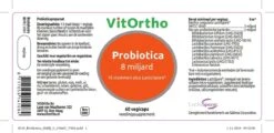 VitOrtho Probiotica 8 Miljard - 60 Vcaps -Zelfzorg Winkel 1200x581