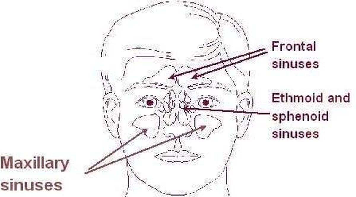 Neti Pot - Keramiek - 25 Gram Zout - 17.5x7 - 150ml 5 Neti Pot - Keramiek - 25 Gram Zout - 17.5x7 - 150ml - Afbeelding 3