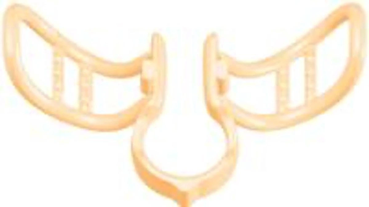 Sport Breathe Aid |Neusspreider | 2 Stuks | One Size Fits All 5 Sport Breathe Aid |Neusspreider | 2 Stuks | One Size Fits All - Afbeelding 3