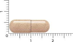Vitakruid - Lactoferrine 150 Mg - 60 Vcaps -Zelfzorg Winkel 1200x692