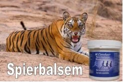 M.Comhair - Spierbalsem - Met Essentiële Oliën - Voor Stramme Spieren En Gewrichten- Massages - Sporters Voor Opwarming Van De Spieren En Gewrichten -Zelfzorg Winkel 1200x803 3