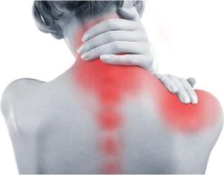 Spirosan™ Spier- & Gewrichtsgel |Balsem Voor Spierpijn En Gewrichtspijn |Balsem Tegen Stijve Spieren En Rugklachten - Tijgerbalsem 7 Spirosan™ Spier- & Gewrichtsgel |Balsem Voor Spierpijn En Gewrichtspijn |Balsem Tegen Stijve Spieren En Rugklachten - Tijgerbalsem -Zelfzorg Winkel 1200x937 1