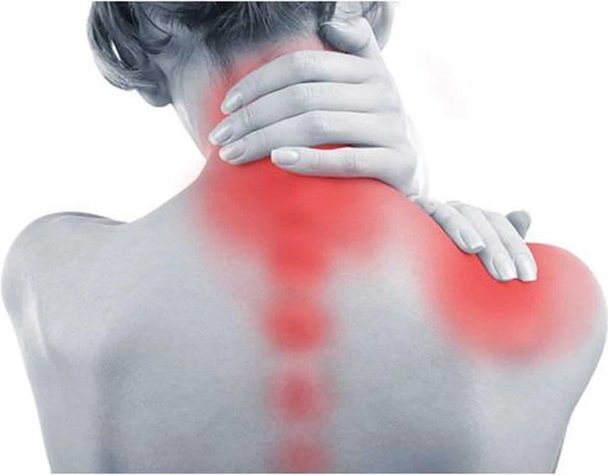 Spirosan™ Spier- & Gewrichtsgel |Balsem Voor Spierpijn En Gewrichtspijn |Balsem Tegen Stijve Spieren En Rugklachten - Tijgerbalsem 5 Spirosan™ Spier- & Gewrichtsgel |Balsem Voor Spierpijn En Gewrichtspijn |Balsem Tegen Stijve Spieren En Rugklachten - Tijgerbalsem - Afbeelding 3