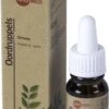 Ormela Oordruppels (10ml) 2 Ormela Oordruppels (10ml) -Zelfzorg Winkel 608x1200