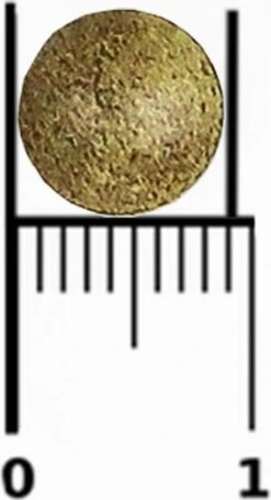 GRUNWALDER Grünwalder Nr1 MAXI 100 Tab NL/BE -Zelfzorg Winkel 651x1200 2