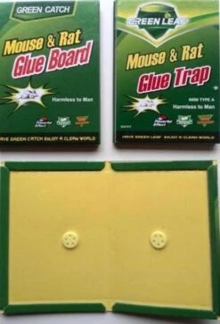 Muizenval - Lijmbord Tegen Muizen En Raten - 2 Stuks -Zelfzorg Winkel 816x1200