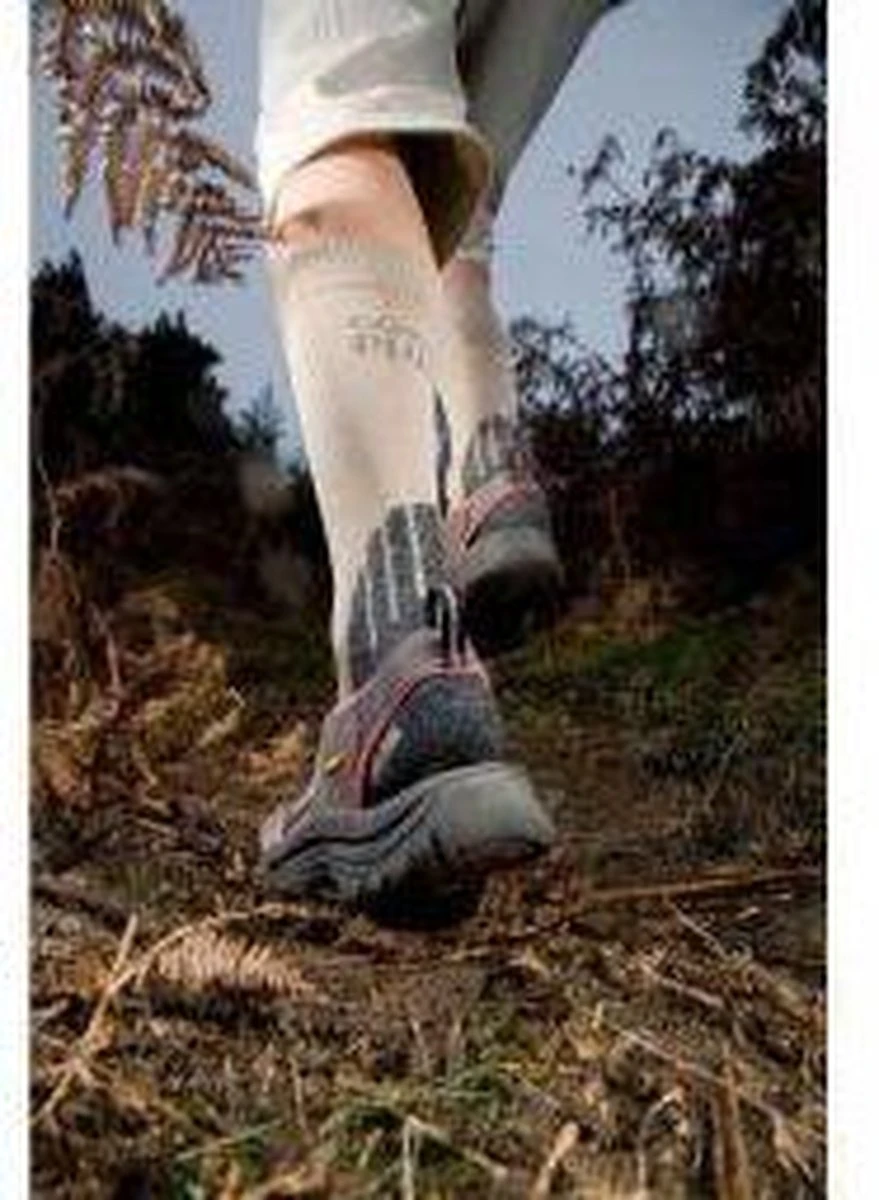 Care Plus Bugsox Adventure Khaki Maat 41-43 - Sokken- Geïmpregneerd - Anti-insect 6 Care Plus Bugsox Adventure Khaki Maat 41-43 - Sokken- Geïmpregneerd - Anti-insect - Afbeelding 4