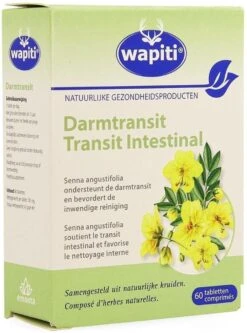 Darmtransit